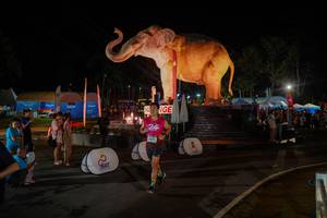 BIB: 
                            <button type="button" onclick="openModal(26552358)" class="btn btn-primary btn-sm float-right btn-popup" data-toggle="modal" data-target=".modal-high-quality">
                        <i class="fas fa-shopping-cart"></i> Add to Cart
                    </button>
                                            <button type="button" onclick="isThisMe(26552358, true)" class="btn btn-success btn-sm float-right btn-popup btn-isme hidden" data-toggle="tooltip" data-placement="bottom" title="นี่คือรูปของคุณใช่ไหม คลิกที่นี่เพื่อเอาเข้าอัลบั้ม">
                        <i class="fas fa-plus"></i> Add to album
                    </button>
                    <button type="button" onclick="isThisMe(26552358, false)" class="btn btn-warning btn-sm float-right btn-popup btn-isnotme hidden">
                        <i class="fas fa-ban"></i> Remove from album
                    </button>